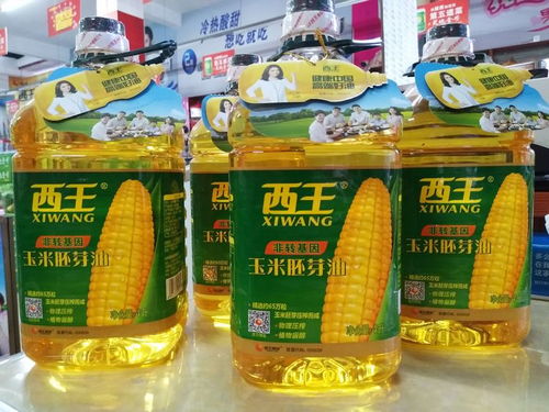 生活必需品价格动态 油盐酱醋与工业盐价格上涨趋势分析